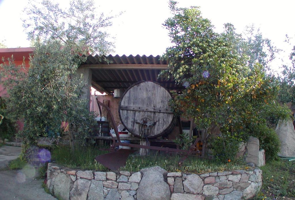 Agriturismo Su Barraccu Loceri Extérieur photo