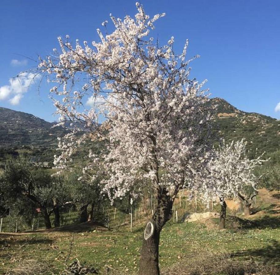 Agriturismo Su Barraccu Loceri Extérieur photo